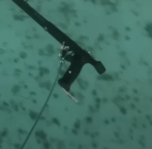 spearfishing bouy 2