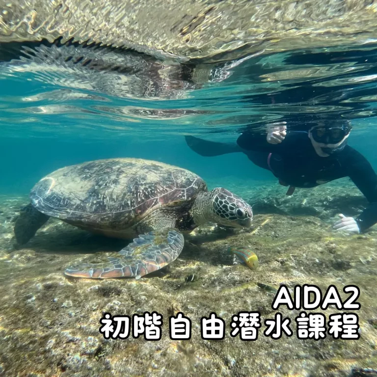 AIDA2 kozy