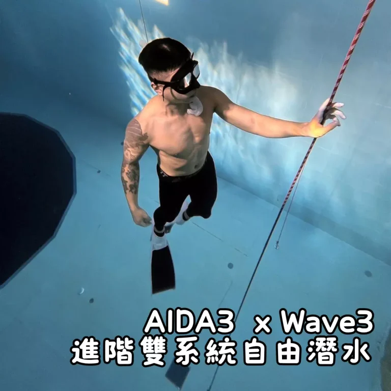 AIDA3Wave2