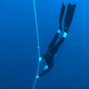 Diver_2